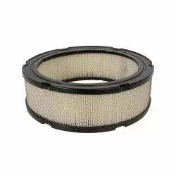 FE-38 Фильтр воздушный Ozone для BRIGGS&STRATTON