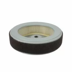 FE-43 Фильтр воздушный Ozone для HONDA